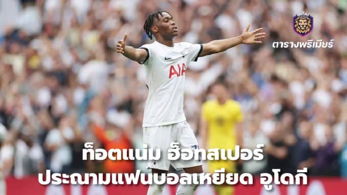 Tottenham Hotspur slams fans for racism towards Udogi