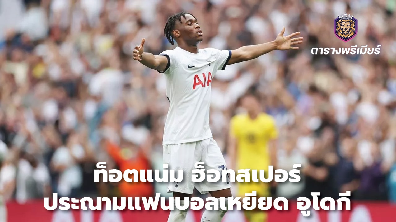 Tottenham Hotspur slams fans for racism towards Udogi